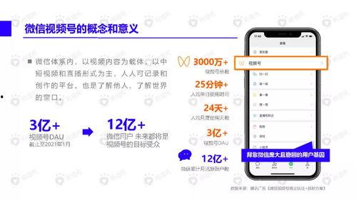 最新僚机爆料新闻视频下载,最新新闻视频下载幕后揭秘 第2张 最新僚机爆料新闻视频下载,最新新闻视频下载幕后揭秘 第2张