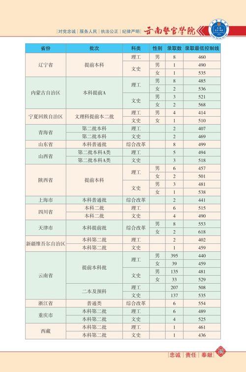 博主爆料宁静视频大全最新,揭秘博主最新爆料背后的精彩瞬间  第3张
