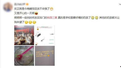 益禾堂吃瓜视频大全免费观看,免费观看，笑料横生！  第1张