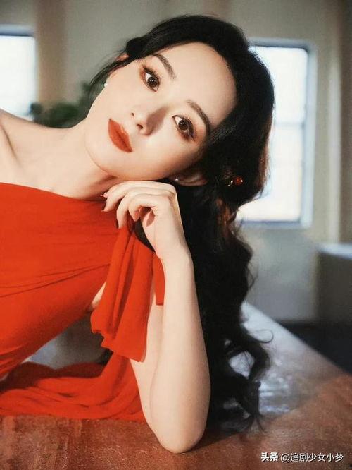 最新爆料顶流女星,美貌与才华并存的璀璨之星  第1张