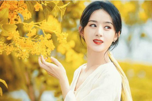 最新爆料顶流女星,美貌与才华并存的璀璨之星  第2张