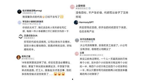 蚂蚁员工最新爆料,最新内部爆料揭示公司真实面貌”  第2张