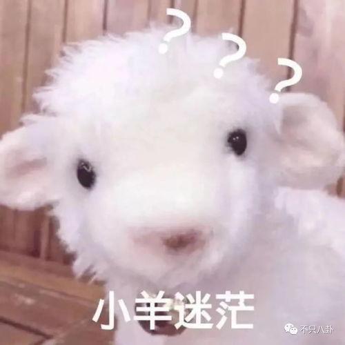 网红爆料小羊是真的吗视频,小羊身份之谜，真相究竟如何？  第3张