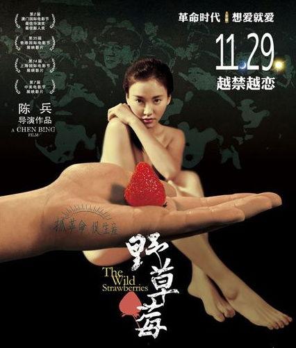 野草莓电影在线观看,穿越时光的青春记忆  第2张