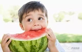 朝堂吃瓜第二十三集免费观看,宫廷秘闻大揭秘，免费观看精彩不容错过