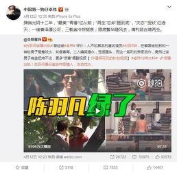 博肖网友爆料视频大全集,揭秘娱乐圈幕后真相  第2张