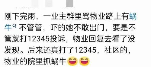 可以免费吃瓜的QQ群,揭秘热门“吃瓜QQ群”的魅力  第3张