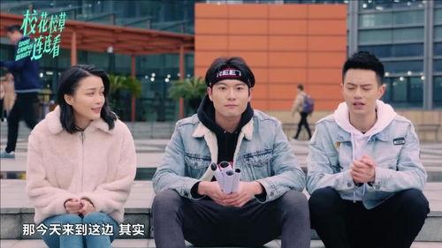 轻娱乐视频在线观看,畅享轻娱乐视频，尽在指尖  第2张