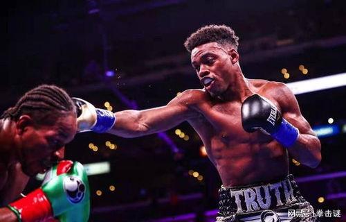 最新拳击爆料网站,最新爆料网站揭秘拳击界惊天秘密  第2张
