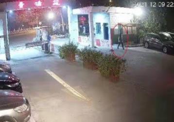 景县一中爆料事件视频最新,真相揭开，家长学生热议