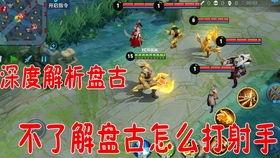 老鸟王者爆料最新消息,最新游戏动态大揭秘！  第3张