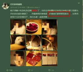 最新的家暴爆料视频大全,社会痛点引发关注与反思  第3张