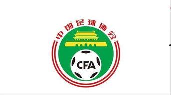 韩国足协爆料新闻最新,揭秘国家队备战2024亚洲杯关键策略与备战情况