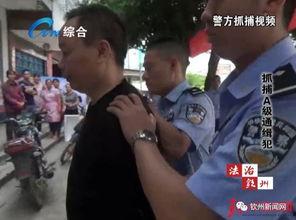 爆料黑社会视频大全下载,视频大全下载背后的真相与警示