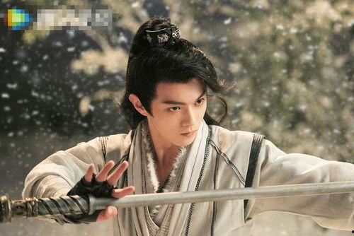 雪鹰 电视剧在线观看,探寻雪域高原的传奇故事