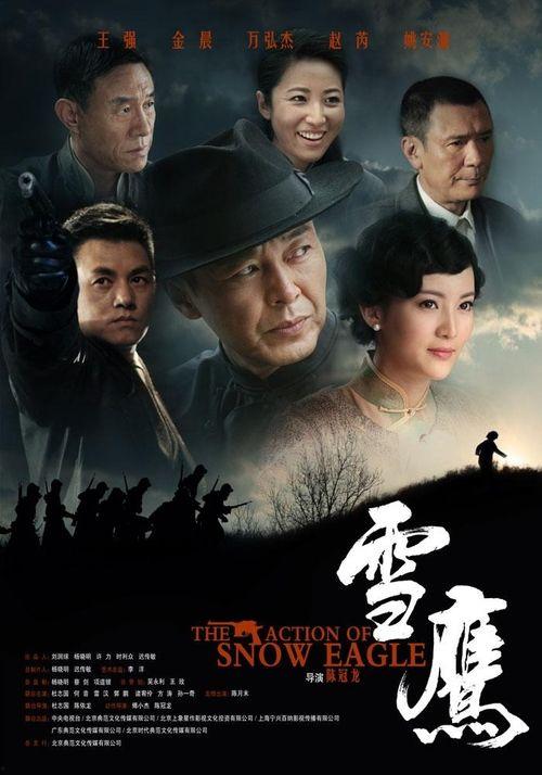 雪鹰 电视剧在线观看,探寻雪域高原的传奇故事  第2张