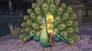 孔雀坐骑新爆料视频播放,华丽变身，探寻神秘坐骑背后的故事  第3张